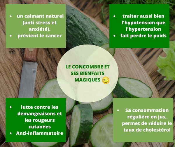 Le concombre et ses bienfaits magiques Le concombre et ses bienfaits magiques